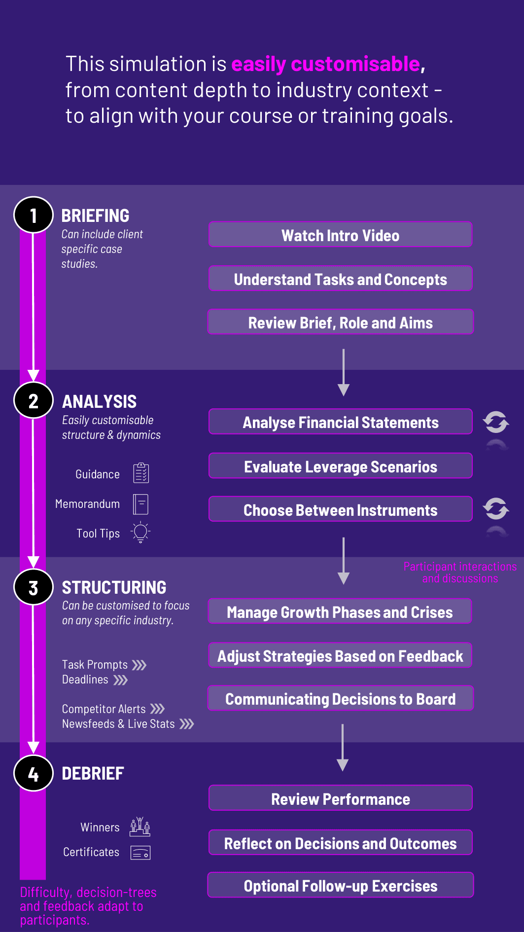 Capital Structure Optimization Process Diagram